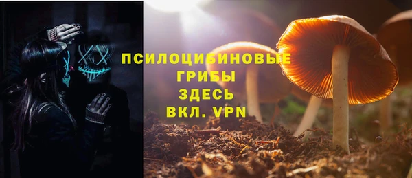 apvp Абдулино