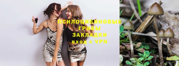 2c-b Абаза