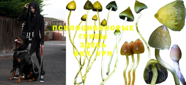 apvp Абдулино