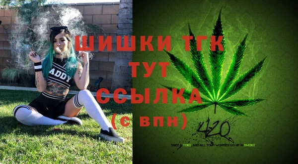 первитин Медвежьегорск