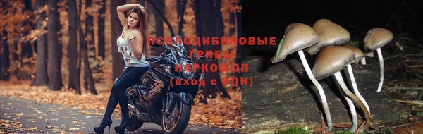 кокс Абинск